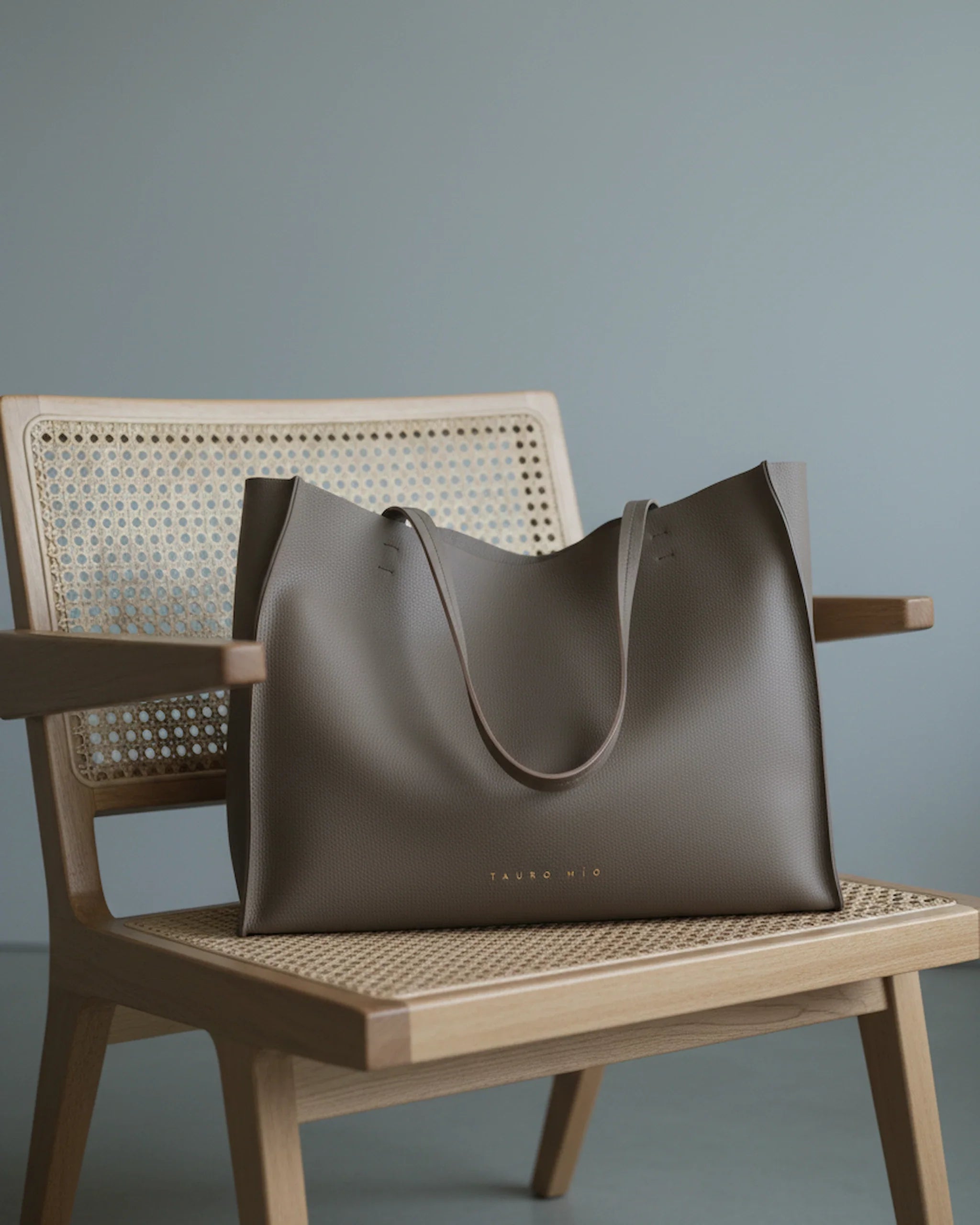 Rose Tote Taupe - Chandigarh, overcast, slouchy