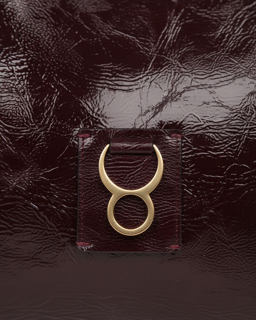 Charol Vino — Close up herraje toro